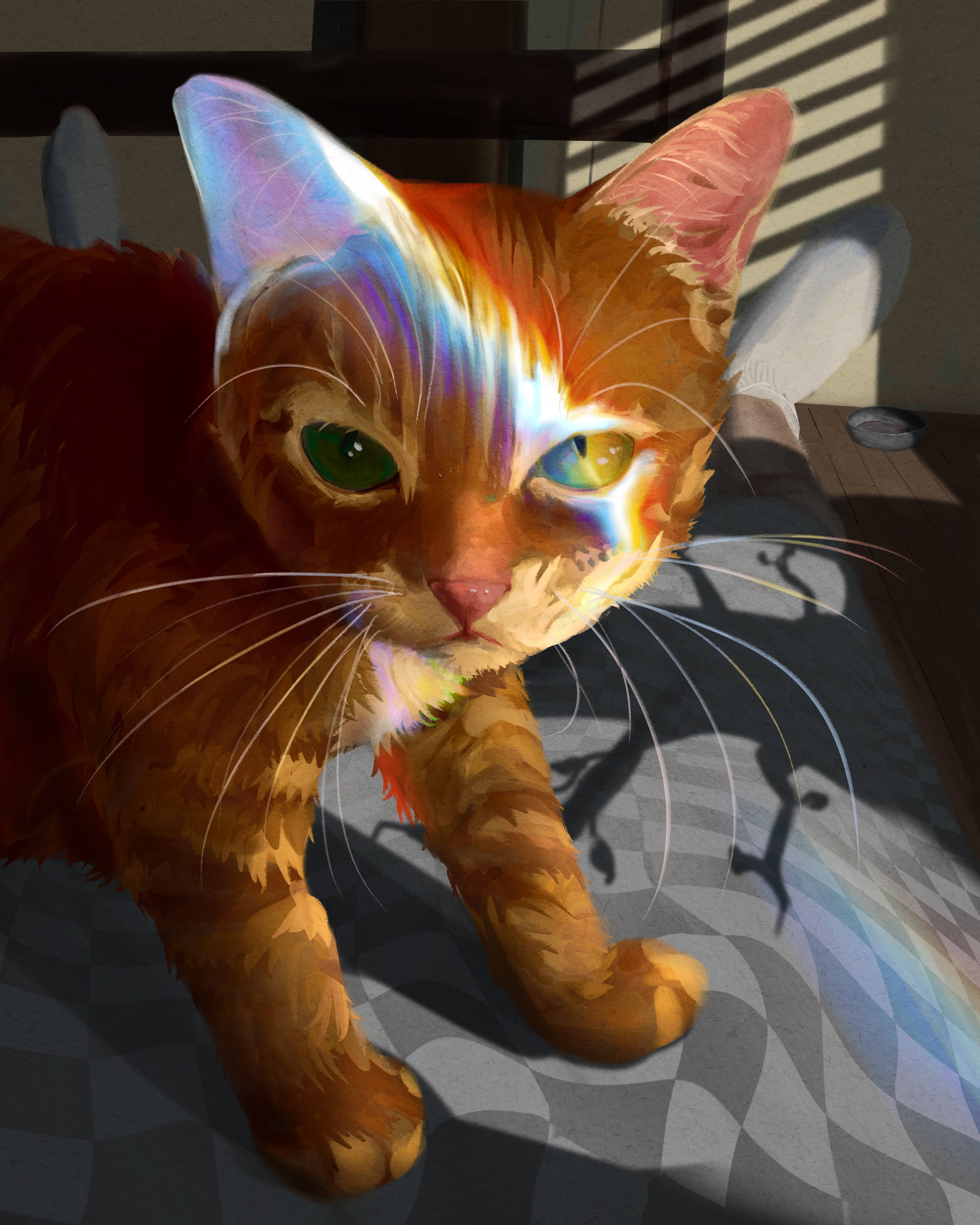 A hungry cat